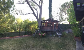 Enlarge photo 21