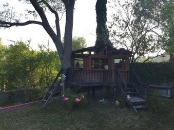 Enlarge photo 22