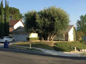 Enlarge photo 2