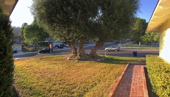 Enlarge photo 4