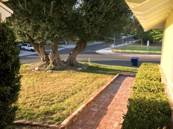 Enlarge photo 6