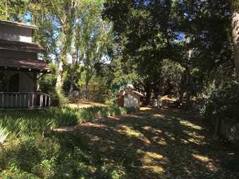 Enlarge photo 7