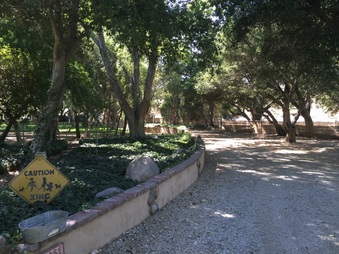 Enlarge photo 22