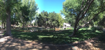 Enlarge photo 27