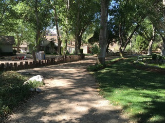 Enlarge photo 29