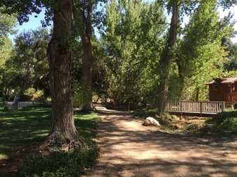 Enlarge photo 30