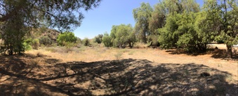Enlarge photo 28