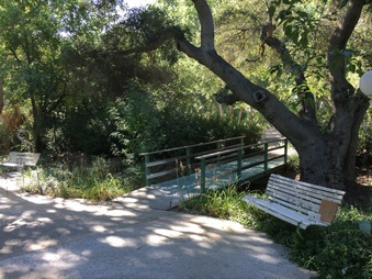 Enlarge photo 3