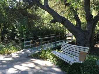 Enlarge photo 5