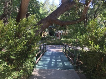 Enlarge photo 6