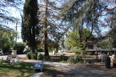 Enlarge photo 8