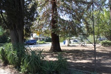 Enlarge photo 10