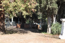 Enlarge photo 18