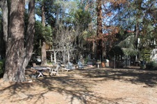 Enlarge photo 27