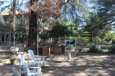 Enlarge photo 31