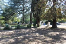 Enlarge photo 32