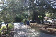 Enlarge photo 33
