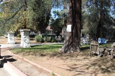Enlarge photo 40