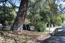 Enlarge photo 42