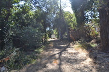 Enlarge photo 13