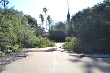 Enlarge photo 25