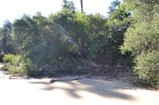 Enlarge photo 26
