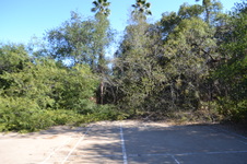 Enlarge photo 30