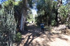 Enlarge photo 10
