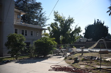 Enlarge photo 16