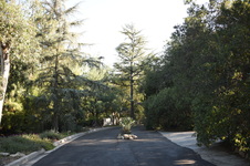 Enlarge photo 18