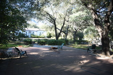 Enlarge photo 23
