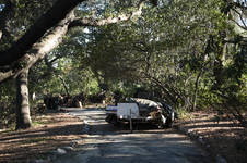Enlarge photo 30