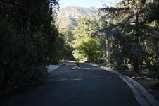 Enlarge photo 32
