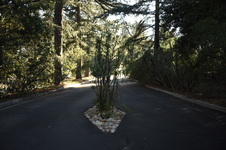 Enlarge photo 33