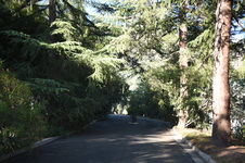 Enlarge photo 34