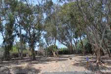 Enlarge photo 7