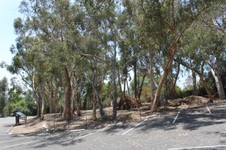 Enlarge photo 14