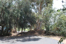 Enlarge photo 19