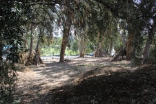 Enlarge photo 20
