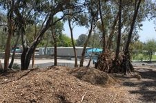 Enlarge photo 21