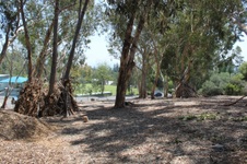 Enlarge photo 22