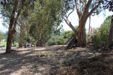 Enlarge photo 23