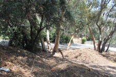 Enlarge photo 25