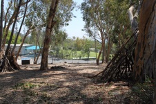 Enlarge photo 27