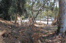 Enlarge photo 28