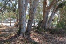 Enlarge photo 29