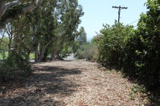 Enlarge photo 30