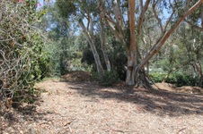 Enlarge photo 31