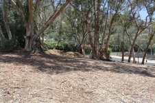 Enlarge photo 32