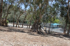 Enlarge photo 33